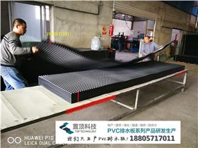 置顶PVC排水板 (23).jpg