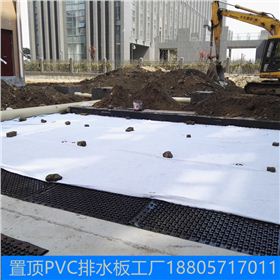 置顶PVC排水板工厂18805717011 (21).jpg