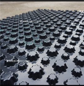 杭州置顶科技——PVC排水板系列产品研发生产